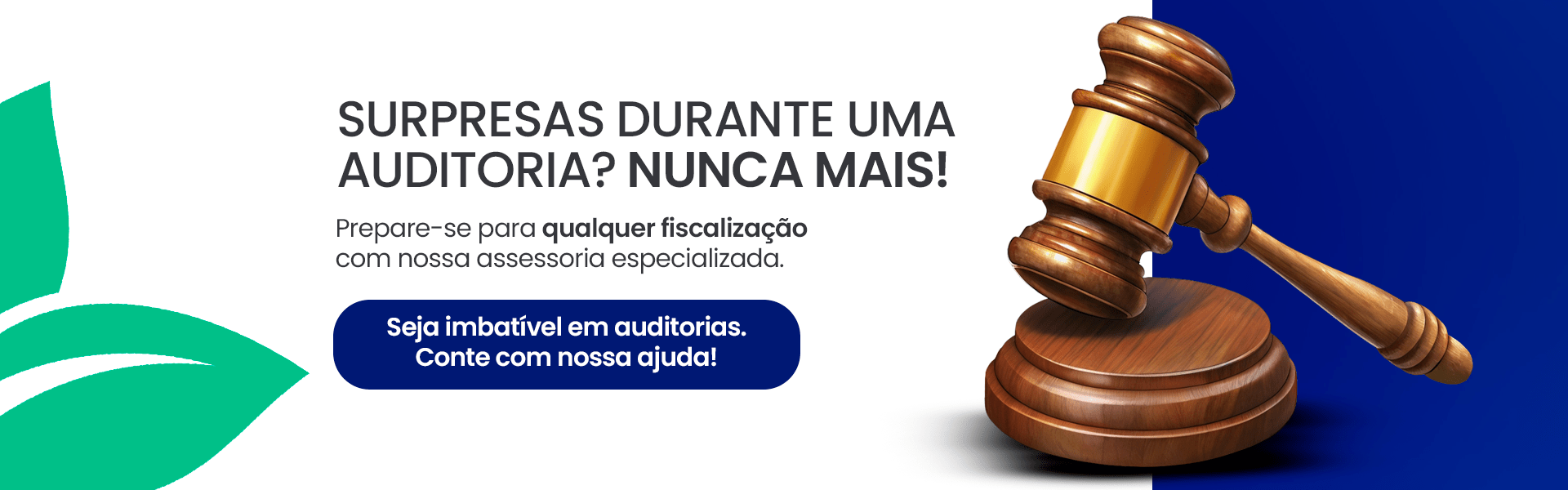 Atendimento a Auditorias e Fiscalizações no debito e credito na contabilidade